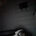 Lori Shakespeare - Facebook