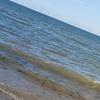 Lorraine Shakespeare - @lorraine.shakespe6 - TikTok