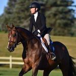 Lori Shaw - @sunbridgeequestrian - Instagram