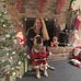 Lori Shelly-Kokosky - Facebook