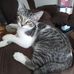 Lorrie Eiland - Facebook