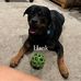 Lori Shively - Facebook