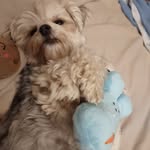 Lori Shrader - @rollinpinsandmore - Instagram