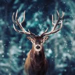 LorisHueller - @lorishueller - Instagram