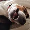 lorisigmon4 - @las0926 - TikTok