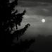 Lori Sipes - Facebook
