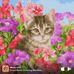 Laura Slover - Facebook