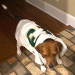 Lori Crumpton Snipes - @snipes.lori - Instagram