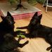Lori Soldwisch - Facebook