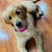 Lorrie McIntyre Spears - Facebook