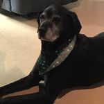 Lori Spellman - @spellmanlori - Instagram