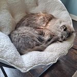 Lori Spilman - @lorispilman - Instagram
