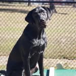 Lori Spitzer - @lspitzer.9 - Instagram