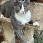 Lori Hansen Spooner - @spoonerlori - Instagram