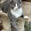 Lori Hansen Spooner - @lori.hansen.spoon - TikTok