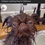Loriann Spooner - @loriannspooner - Instagram