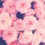 ✨ sprinkle of lori ✨ - @sprinkleoflori - Instagram