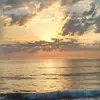 Lori Sprinkle - @user118939414 - TikTok