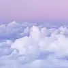sprinkle.xxlorixx - @sprinkle.xxlorixx - TikTok