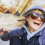 Lori Stack Preston - @lspreston - Instagram