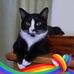 Lorrie Stacy - Facebook