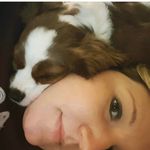 Lori Staley - @loristaley - Instagram