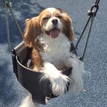 Lori Staley - @theatremom711 - Instagram