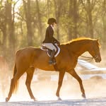 Lori Stambaugh Townsend - @lojotownsend - Instagram