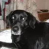 loriestambaugh4 - @lorie.stambaugh - TikTok