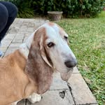 Lori Ghigliotti Steckler - @lori_steckler.00 - Instagram