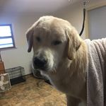 Lori Steck - @steck.lori - Instagram