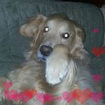 Lori Stecker - @loristecker - Instagram