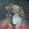 Lori Stecker - @lori.stecker - TikTok