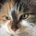 Lori Gray Steeves - Facebook
