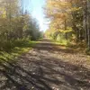Lori Steeves - @loristeeves - TikTok