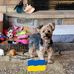 Lori Stenberg - Facebook