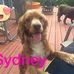 Lori Stephan - Facebook