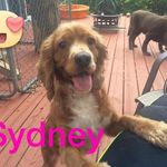 Lori Stephan - @loristephanrealtor - Instagram
