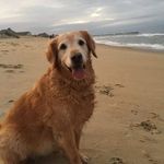 Lori Stephany - @loristephanyrn - Instagram