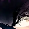 loristephanie4 - @loristephanie4 - TikTok