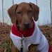 Lori Oates Stepp - Facebook