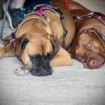 Lori Stepp - @stepp_lori - Instagram