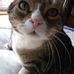 Lori Stetson - Facebook