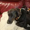 Lori Stiffey - @lori.stiffey - TikTok