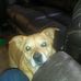 Lori Stilts - Facebook