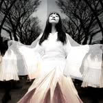 Lori Stoll - @loristollstudio.tokyo - Instagram