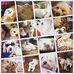 Lori Jean Storer - Facebook