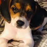 Lori Strang - @strang_lori - Instagram