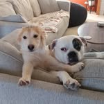 Lori Strang - @loristrang - Instagram