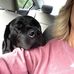 Lori Streeter - Facebook